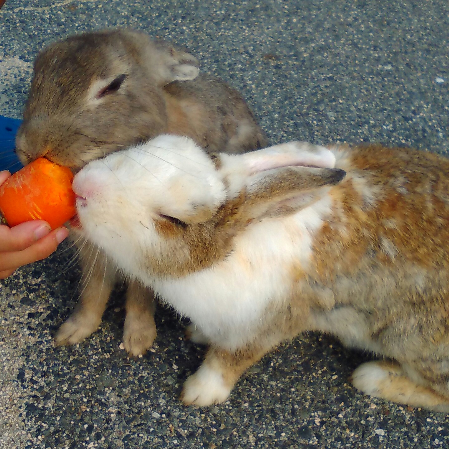 安くて美味いが時間がかかる